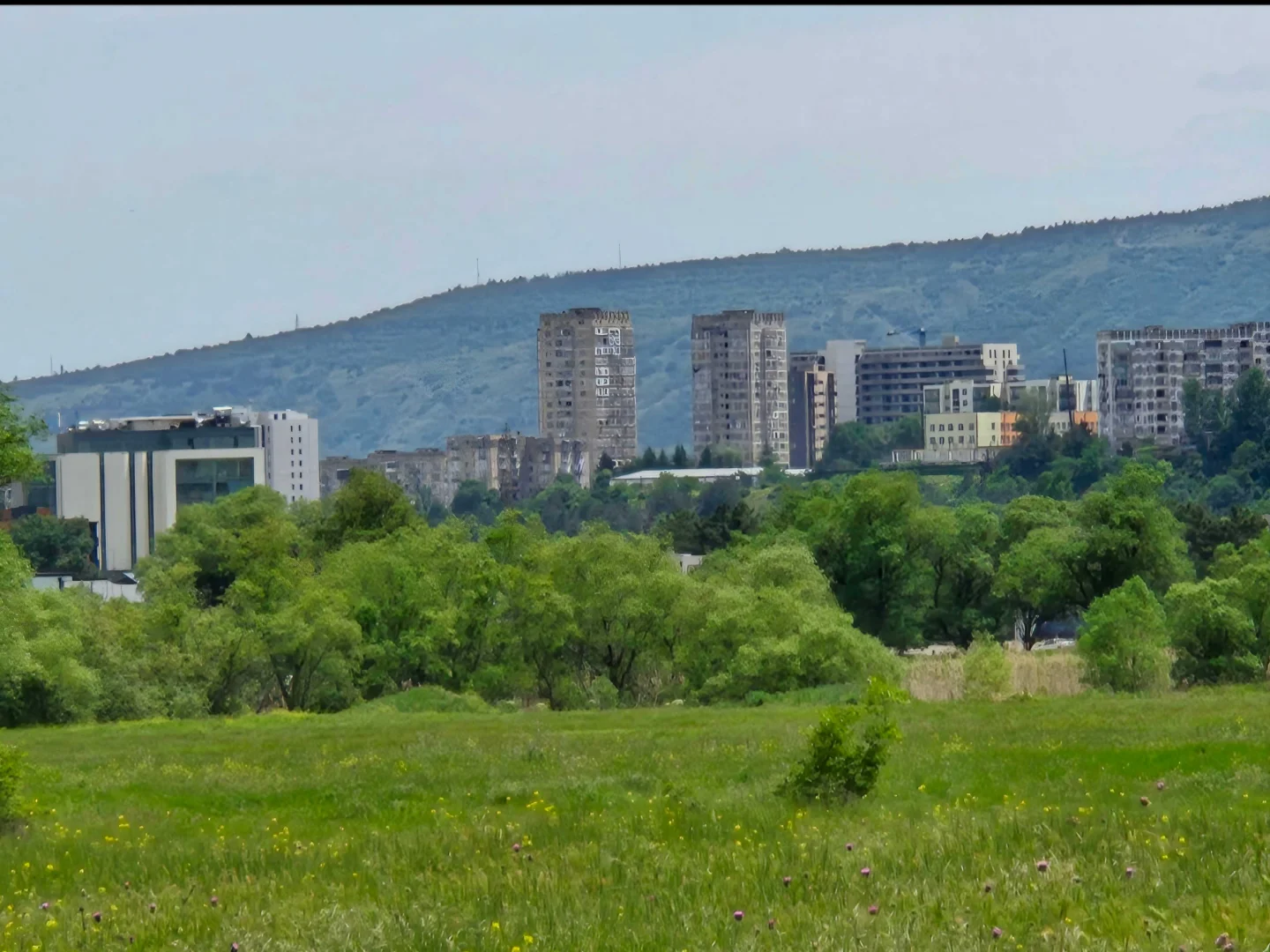 იყიდება მიწის ნაკვეთი ლისში - ფოტო 2