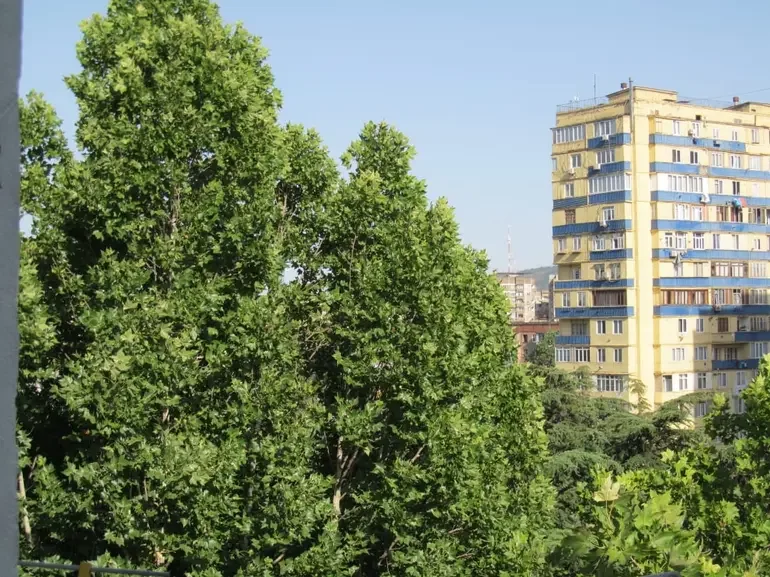 ქირავდება 1 ოთახიანი ბინა კიკეთში - ფოტო 5